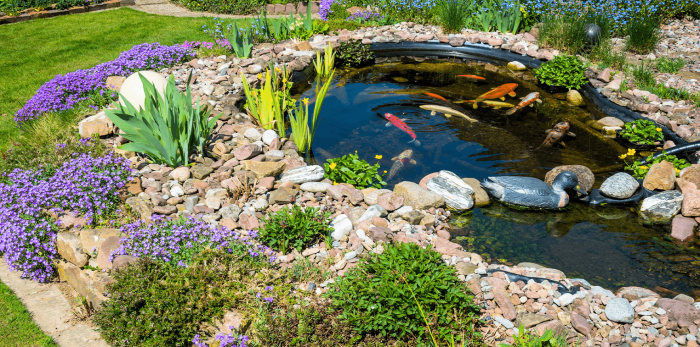 Teich im wohnzimmer