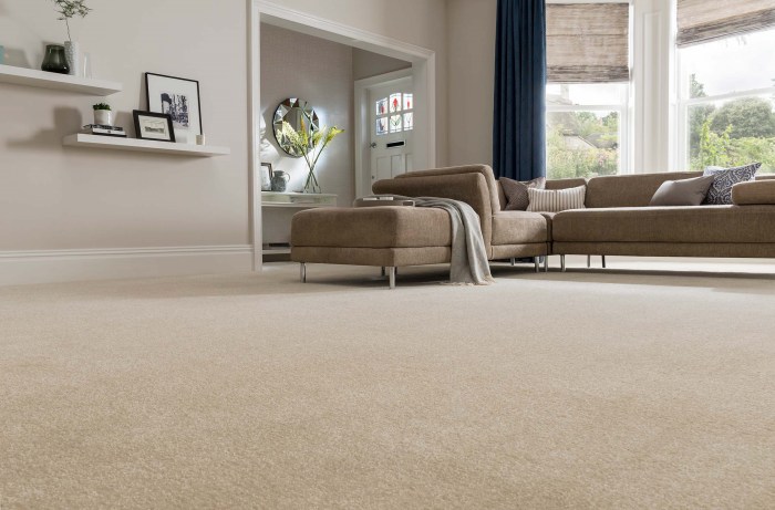 Cream carpet room living flooring decor carpets saved