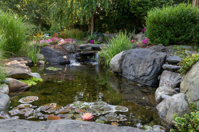 Teich im wohnzimmer